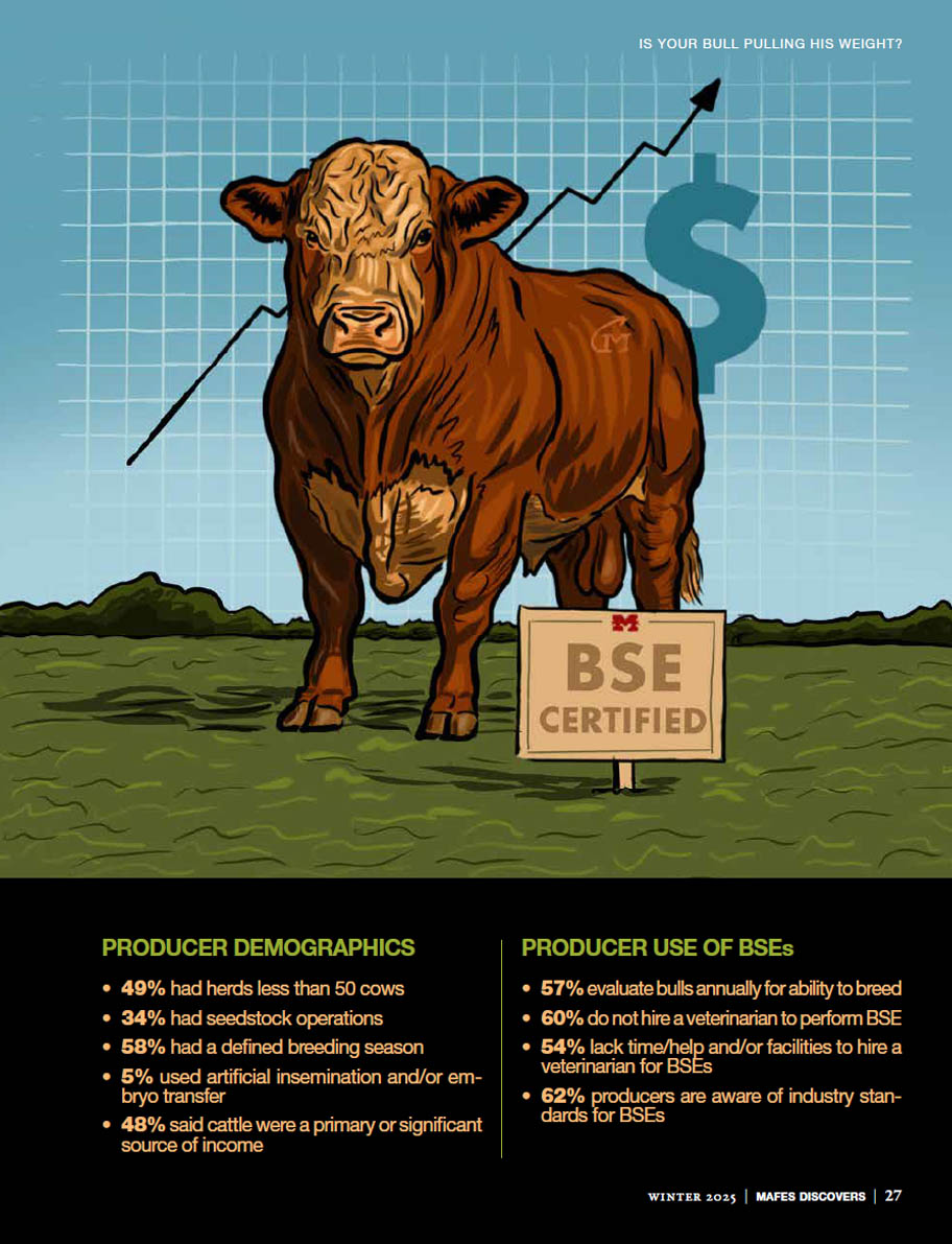 Is your bull pulling his weight? - Infographic