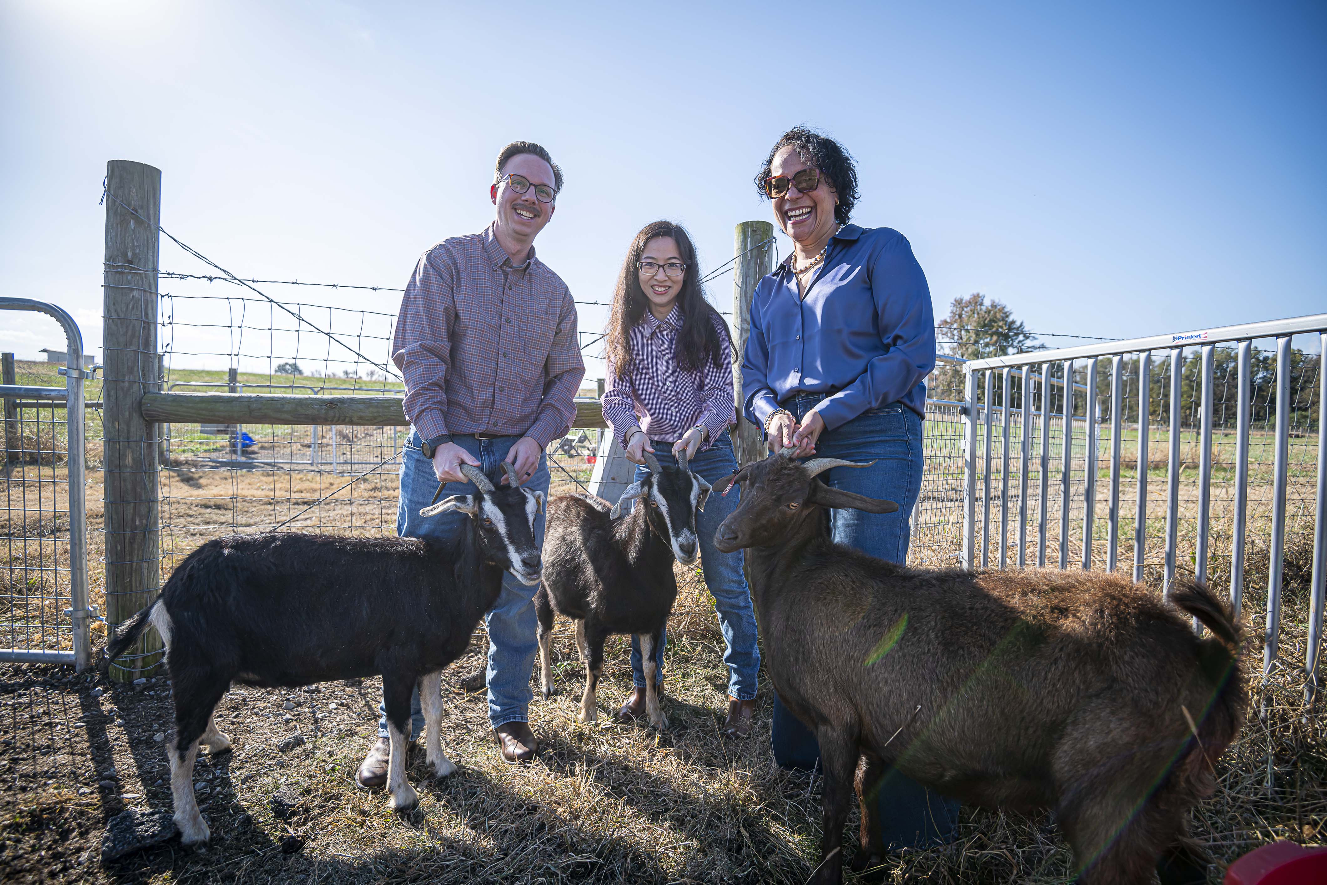 MAFES scientists, Dr. Caleb Lemley, Dr. Peixin Fan, and Dr. Leyla Rios de Alvarez with goats at the MAFES H. H. Leveck Animal Research Center. (Photo by David Ammon) 