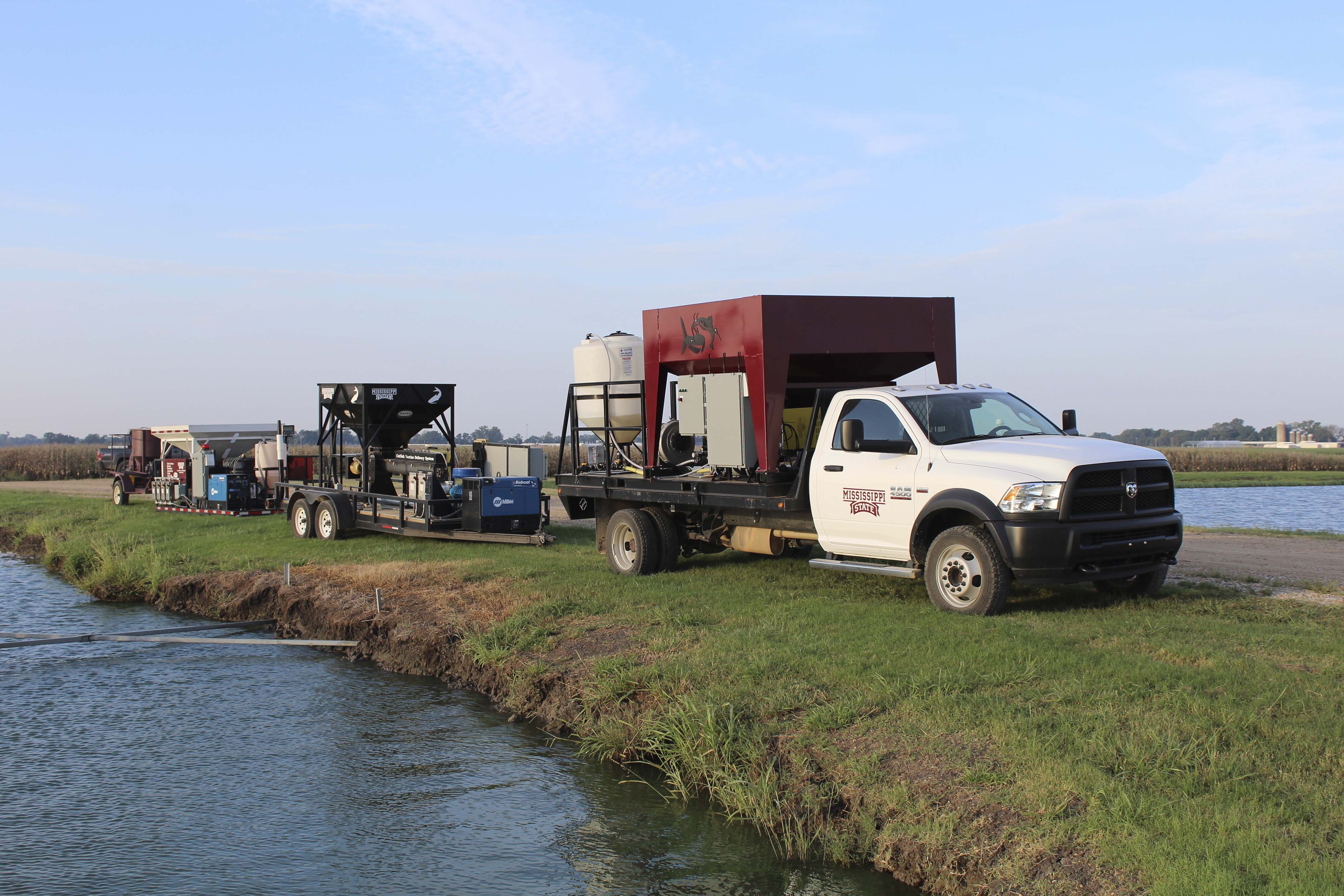 MAFES scientists, in collaboration with USDA and College of Veterinary Medicine researchers, developed a catfish vaccine and delivery system to treat for Edwardsiella ictaluri, a fatal disease that costs U.S. producers between $14-$45 million.  (Photo by Kenner Patton)