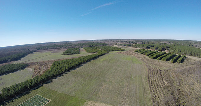 Coastal Plain Branch Experiment Station