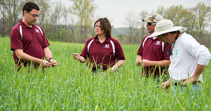 North Mississippi Research and Extension Center