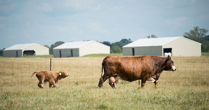 Prairie Research Unit