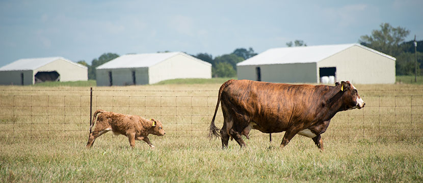 Prairie Research Unit
