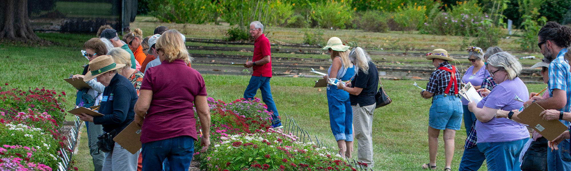 judging the gardens