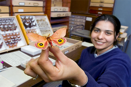 Mississippi Entomological Museum