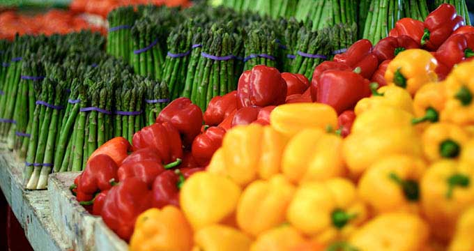 Mississippi Horticulture Crops