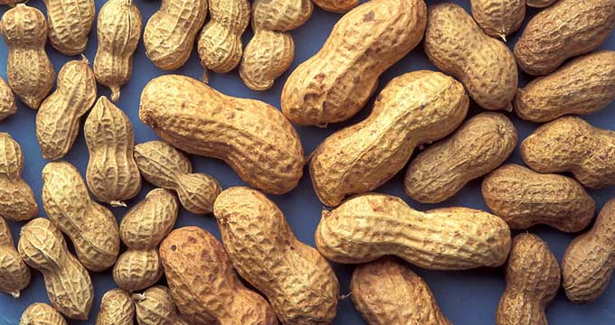 Mississippi Peanuts