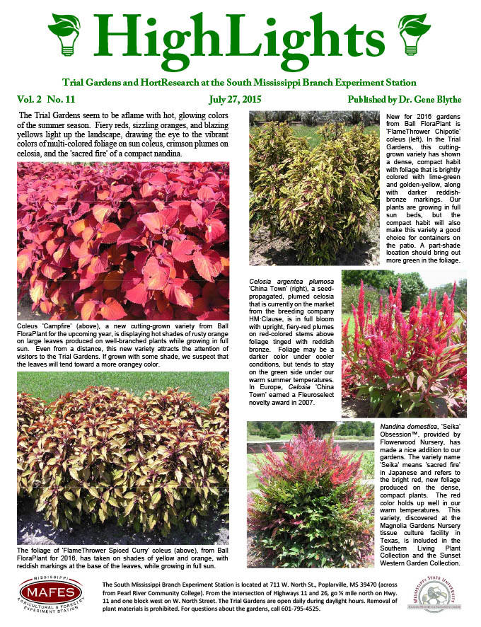 Highlights Newsletter