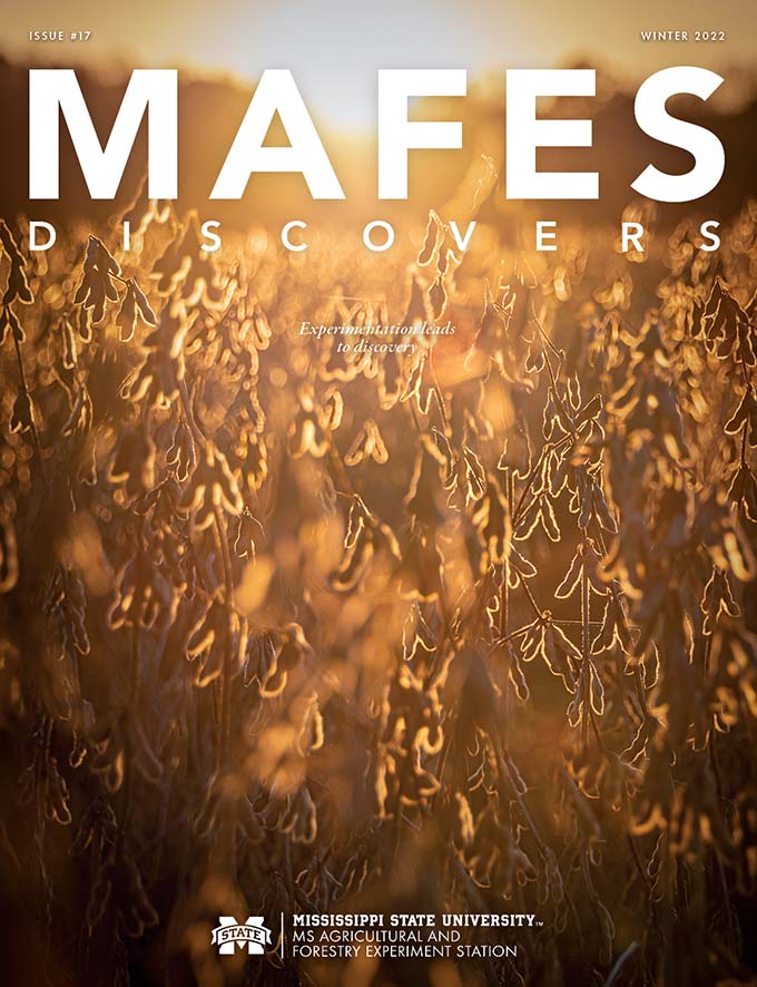 MAFES Discovers