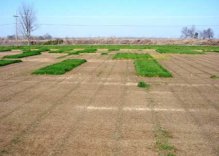 Control resistant weeds before spring planting