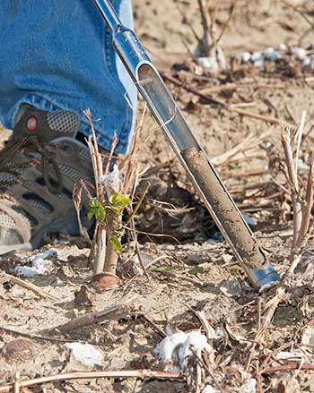 Actions, inactions impact soil health