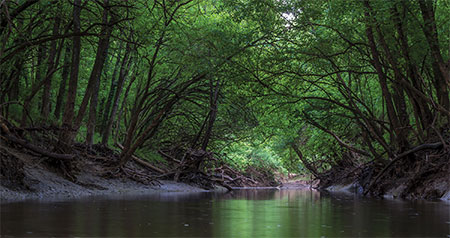 MSU spearheads effort to protect local watershed