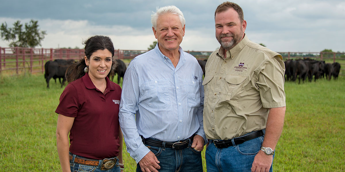 MSU professorship focuses on beef cattle production in the Southeast