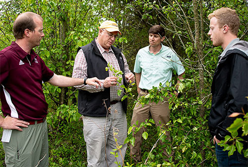 MSU plant and soil sciences professor designated Southern Weed Science Society fellow