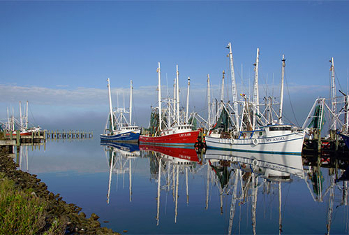 Fishing boats dock in the Mississippi Gulf Coast. As the Bonnet Carré Spillway closes this week, Mississippi State researchers are examining the economic impact of the spillway