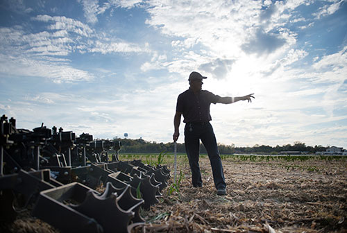 For Mississippi State farms, hands-on work continues