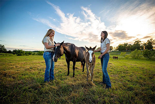 Hannah Valigura, left, agricultural technician, and Ashley Glenn, facilities supervisor, enjoy time in the field with horses at the Mississippi Agricultural and Forestry Experiment Station