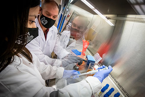 MSU PHOTO ID: Postdoctoral Associate Claudia Castaneda and Professor Aaron Kiess, both with Mississippi State