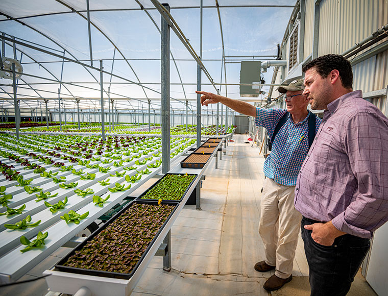 Casey Barickman, right, associate research professor in the Mississippi Agricultural and Forestry Experiment Station, and Jamie Redmond, owner of Salad Days, discuss the different types of lettuce the business grows. The operation uses hydroponics, a method of growing plants using nutrient-rich water in place of soil, to grow lettuce year-round.