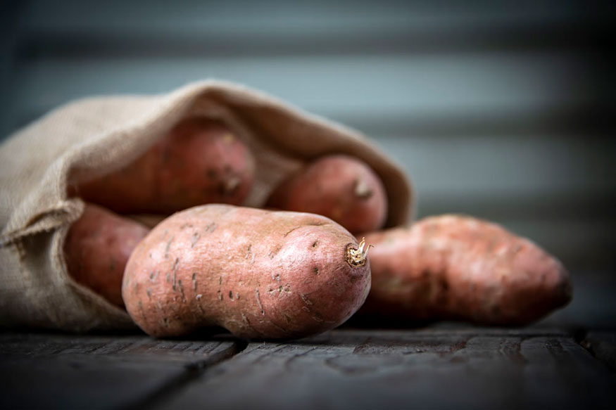 MSU awarded $4.8 million to support CleanSEED Project for sweet potato sustainability