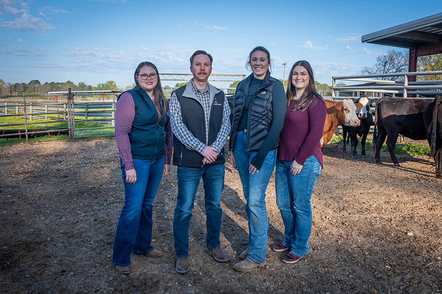 From left, Zully Contreras-Correa, postdoctoral associate; Caleb Lemley, associate professor; and doctoral students Riley Messman and Rebecca Swanson, are researching benefits of the supplement melatonin for cattle health