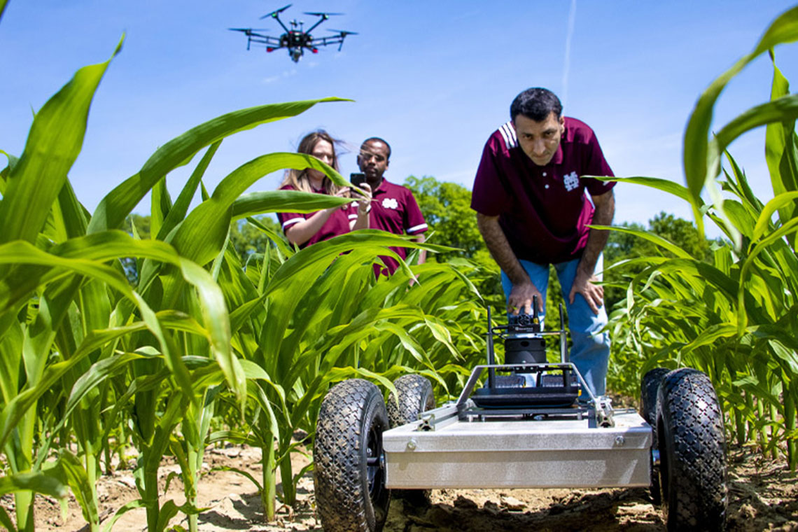 From left to right: Jessica Wolfe, research associate in the Geosystems Research Institute; Assistant Professor Nuwan Wijewardane and Assistant Professor Hussein Gharakhani assessing a robot in a corn field as a UAV flies above at the W.B. Andrews Agricultural Systems Research Farm in Starkville, Mississippi.