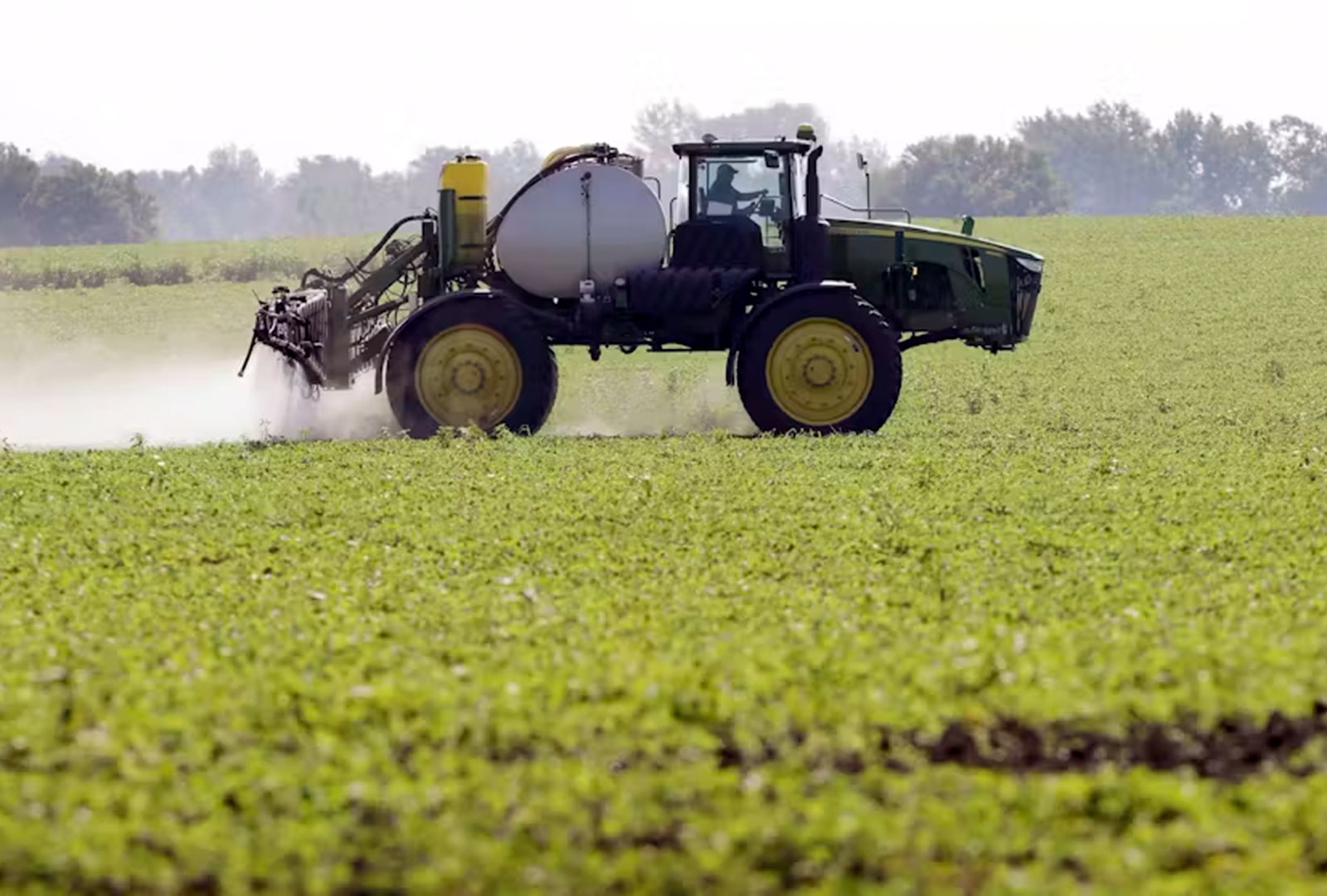 How does the EPA know a pesticide is safe to use in my yard?