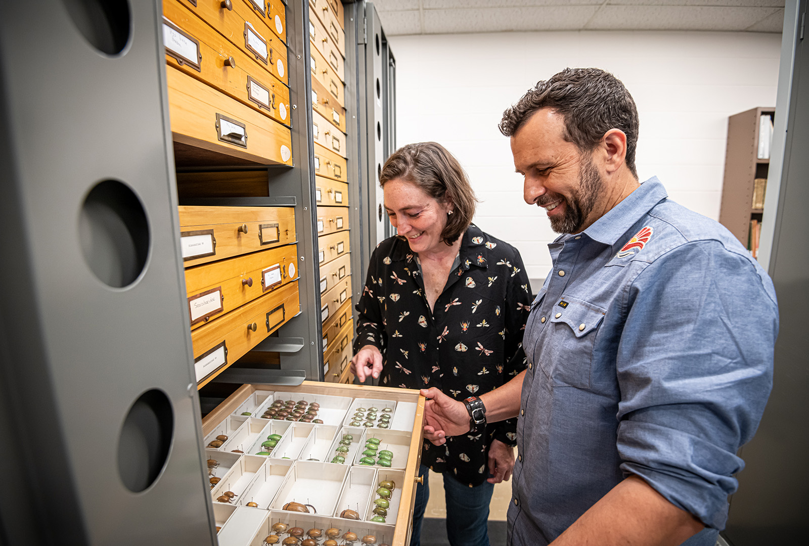 First line of defense: USDA funding MSU's fight against destructive plant pests