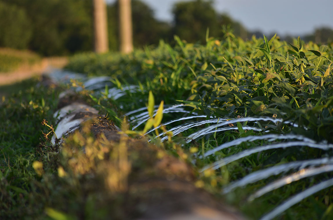 Amazon and Arable join MSU to deliver irrigation solutions 