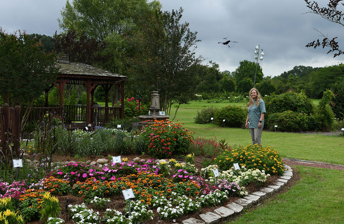 Scientists in a flower bed with a drone flying overhead.