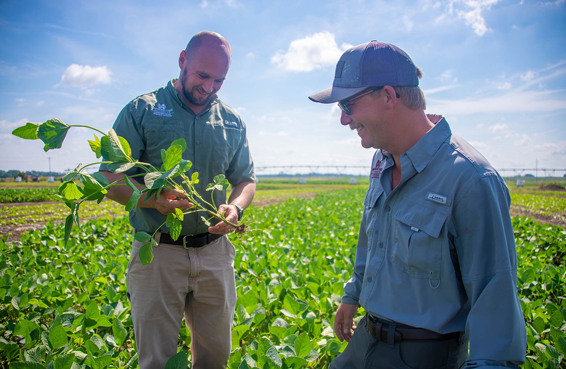Mississippi State Assistant Professor Dave Spencer, left, and Lane Galloway, research associate I and doctoral student, examine soybeans at the Mississippi Agricultural and Forestry Experiment Station
