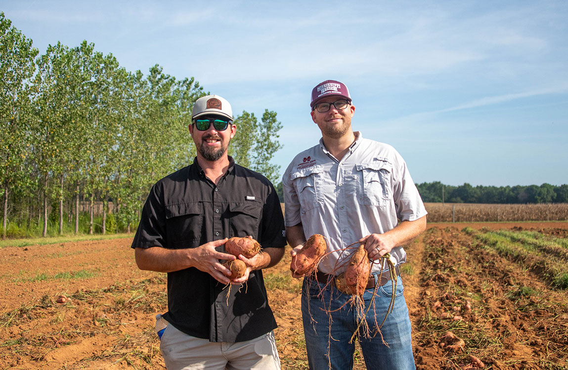 Two men standing in a field holding sweetpotatoes