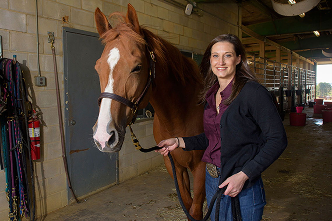 Ashley Glenn, Mississippi State University Equine Unit facilities supervisor, walks Allie, one of the horses in MSU’s
equine breeding program.