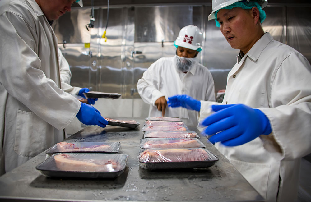 MSU scientists with the Mississippi Agricultural and Forestry Experiment Station prepare steaks on styrofoam strays at the university