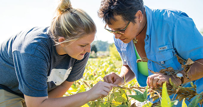 Biochemistry, Molecular Biology, Entomology, and Plant Pathology