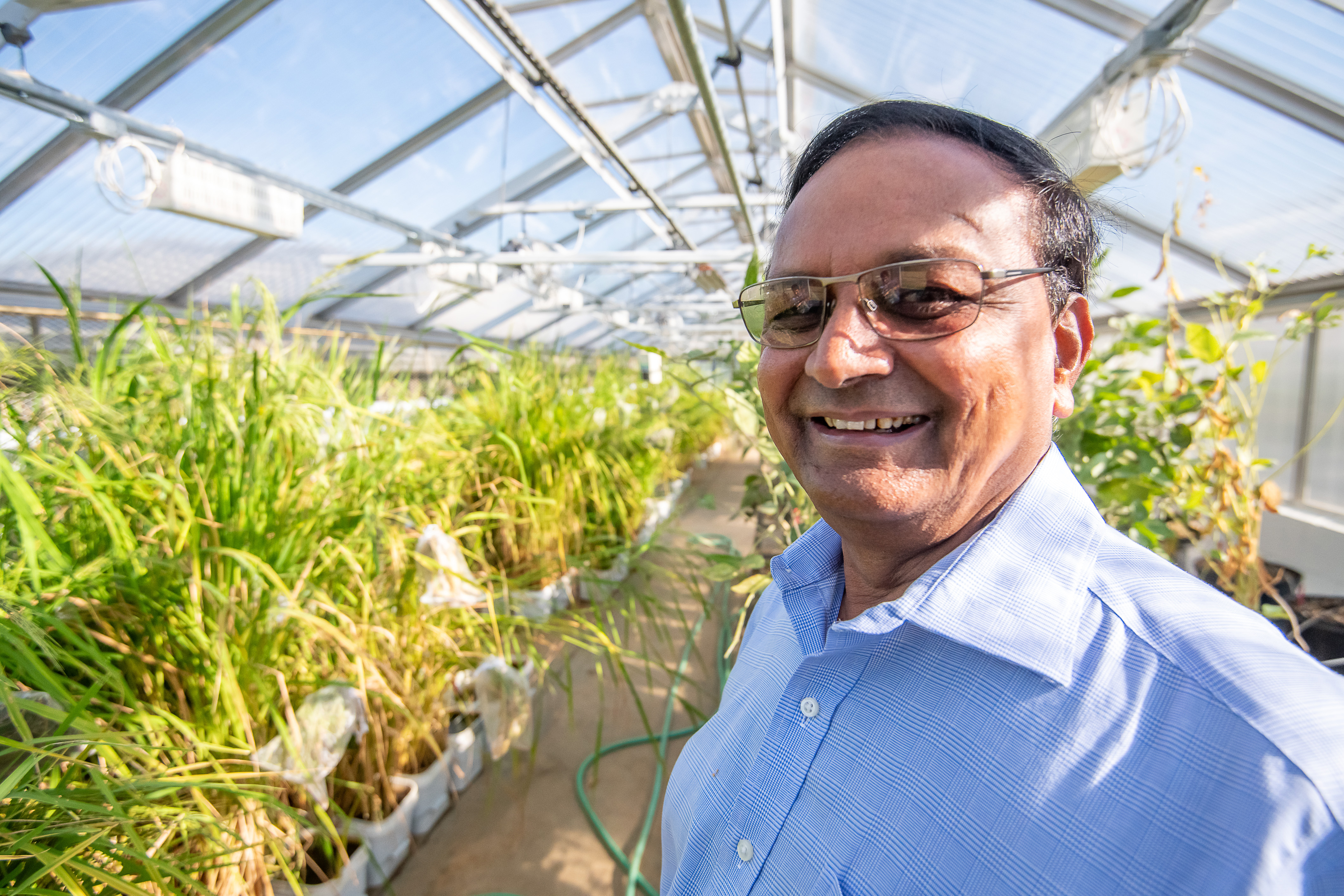 From Field to Future
