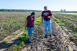 Dwarf Virus, Giant Impact