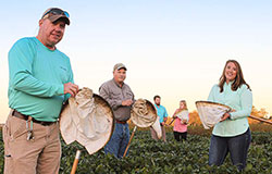 The Delta Research and Extension Center Entomology group