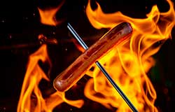 MAFES scientists are working to find a natural, low cost approach to reduce foodborne pathogens in pork trimmings, which products like hot dogs are made from.