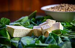 Tofu, also known as bean curd, is prepared by coagulating soy milk and then pressing the curds into solid blocks, similar to the production of cheese made from dairy milk.