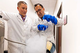 Drs. Thu Dinh and Erdogan Memili examine bull sperm from a cryopreservation tank.