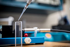 MAFES scientists are experimenting with near-infrared spectroscopy to diagnose bovine respiratory disease in the field.