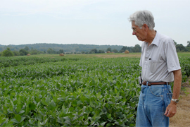 scientists looking over soybean crop