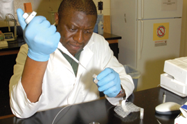 scientist working in laboratory
