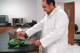 scientist with fresh vegetables in a laboratory