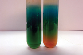 vials containing green, blue and orange on a white background