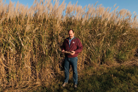 scientist standing in front of tall grass
