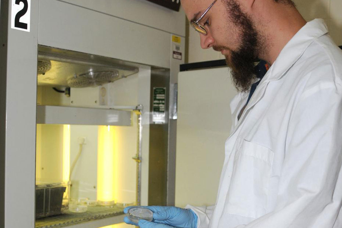 scientist working in a laboratory