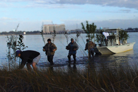 scientist moving trees to an island