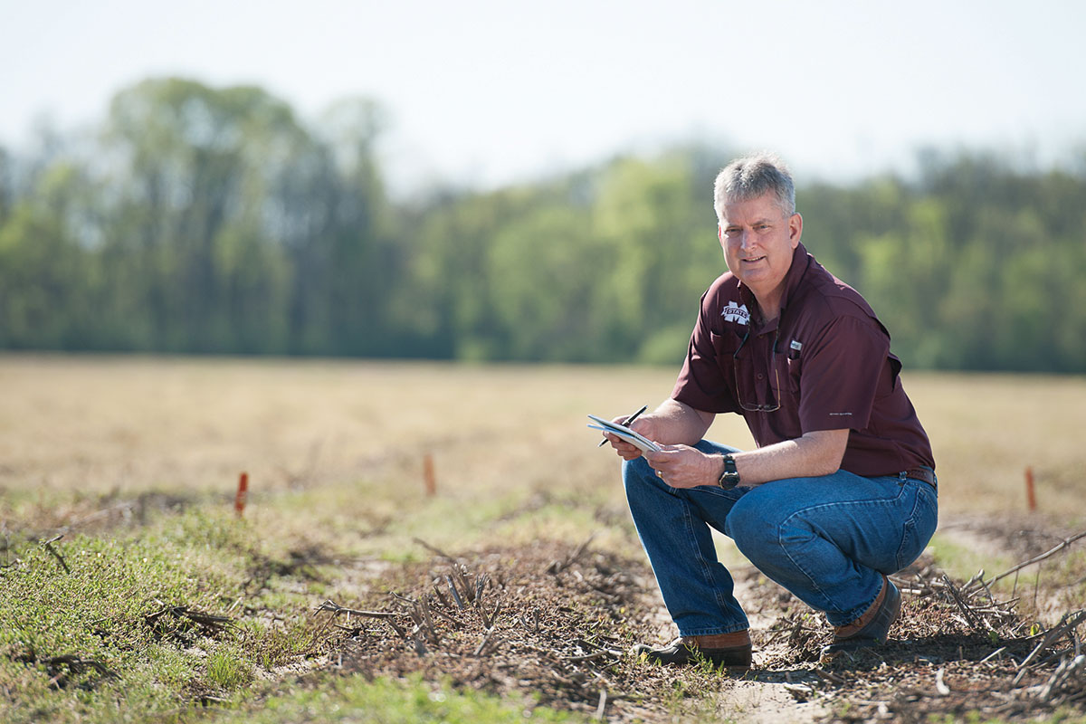 Researchers use precision agriculture for weed control and more